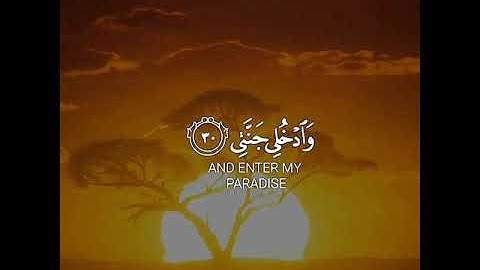 يا ايتها النفس المطمئنة ارجعي الى ربك | حالات واتس اب دينية قصيرة مؤثرة قرآن كريم تلاوة خاشعة انستا