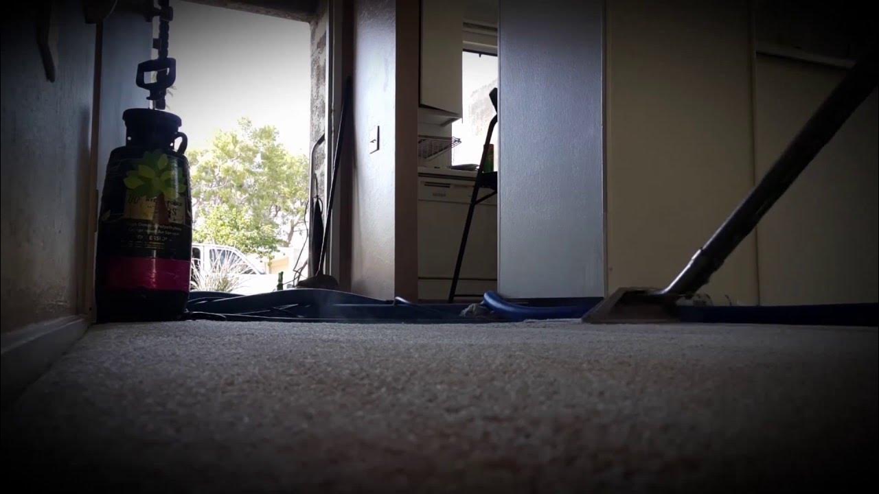 PRO CARPET CLEANING *** PALM SPRINGS CA 2016 *** YouTube