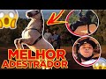 MELHORES ADESTRADORES DE CAVALO