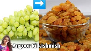 1 किलो अंगूर से ढेरो किशमिश बनाएं, साल भर स्टोर करके रखें | Homemade Kishmish | Raisins Recipe