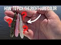 3 Quick Tips To Help You Choose The RIGHT Lure Color