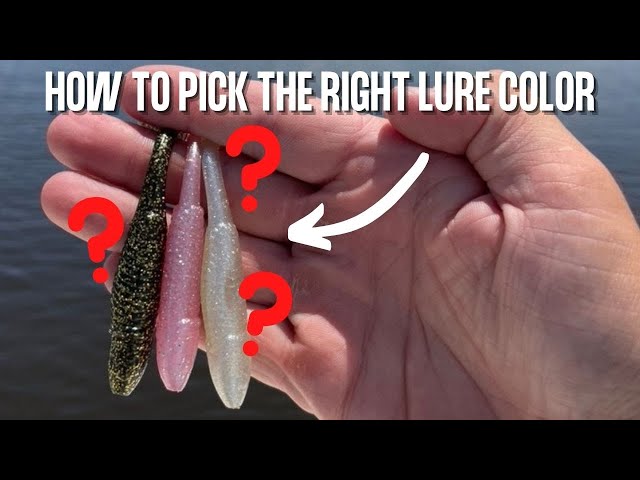 3 Quick Tips To Help You Choose The RIGHT Lure Color 