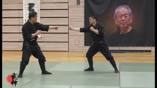 Koji Furuta Soke Kumogakure - Taikai 2025 Germany