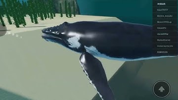 Shark RP thing - Location of all badges from Roblox