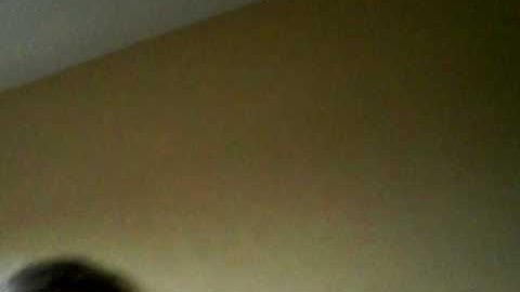 livejournal video post