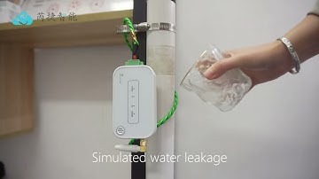 Rejeee LoRaWAN Water Leak Sensor, Compatible with Helium Network