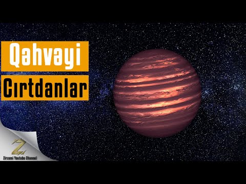 Video: Qəhvəyi Cırtdan Nədir?