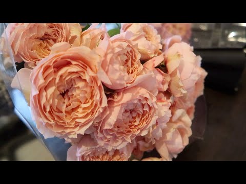 VLOG: Моменты из