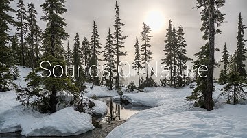 4K Video | Âm Nhạc Thư Giãn | Mùa Đông & Tiếng Nước Chảy