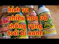 .271thuc ra hoa chng rng tri b xanh