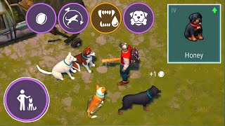 HOW TO GET "TRUE FRIEND" DOG EASILY! - Last Day On Earth Survival screenshot 5