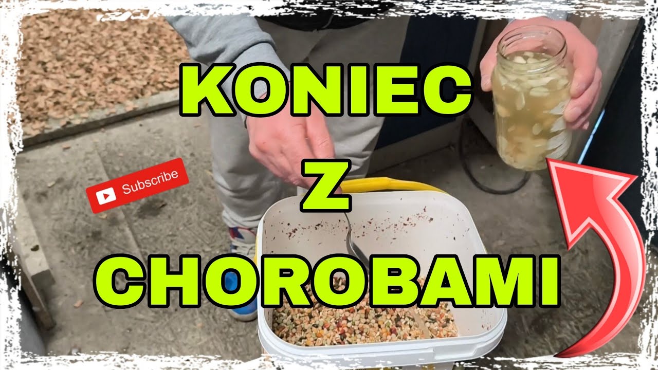 Naturalna moc w gołębniku - tego nie kupisz w aptece!