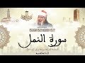 عبد الباسط عبد الصمد سورة النمل كاملة برواية ورش عن نافع 