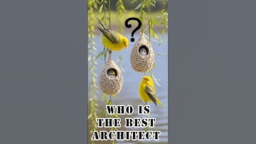 TRADITIONAL HOUSE ARCHITECTURE DESIGN #birds #architecture #nature #abcnature1234 #usa