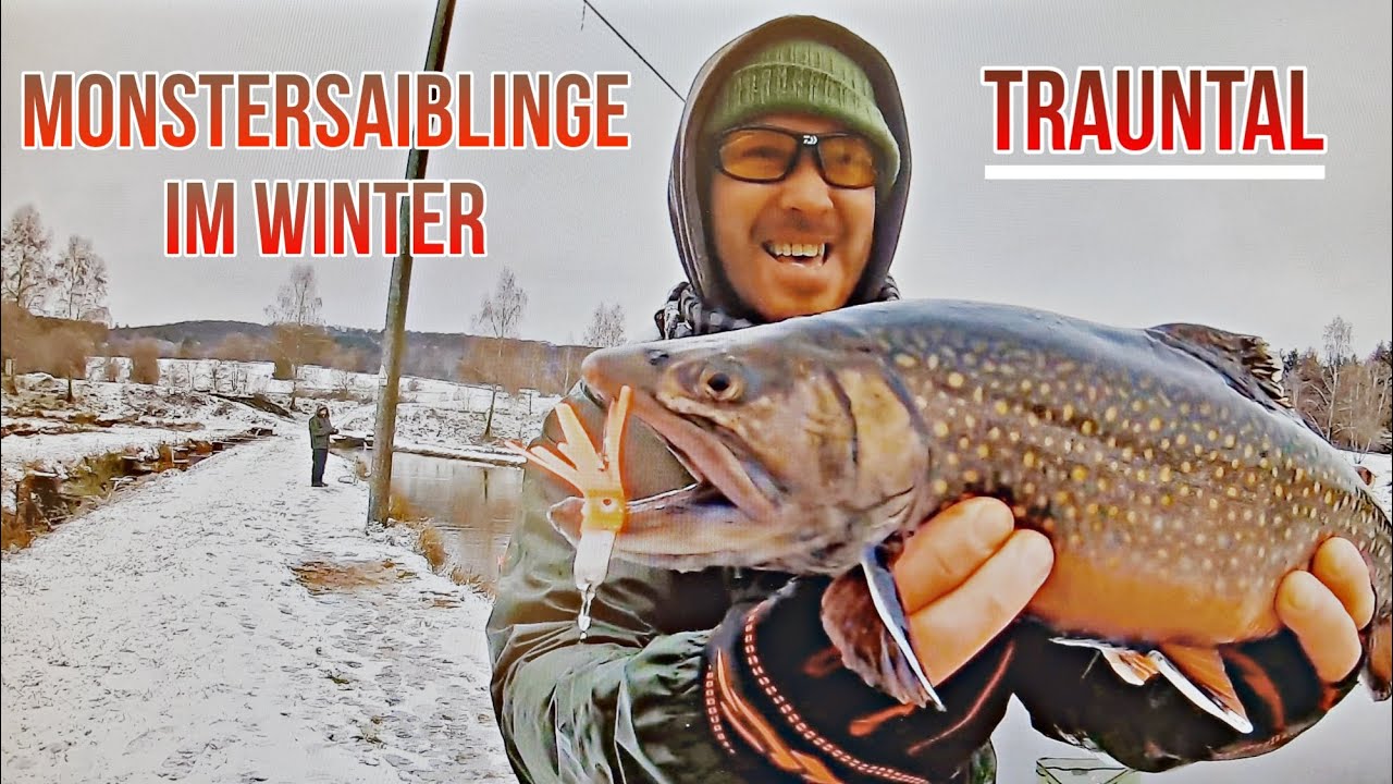 Schneesturm/Monstersaiblinge/Adrenalin/Trauntal