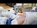 귀여운 아기와 고양이들의 첫만남 Cats' First Encounter with a Baby 赤ちゃんと猫たちの初の出会い[SURI&NOEL]