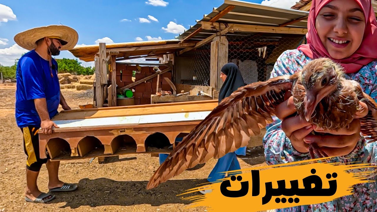 غيرنا عش الحمام وجهزنا مكان ولادة النعجة الدمان! تغييرات كبيرة في المزرعة 🐑🕊️🔥