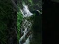 Escape to the Mist-Kissed Hills: 5 Must-Do Activities for Nature Lovers in Valparai