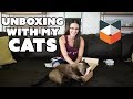 MeowBox Unboxing with My Cats - Meg Turney