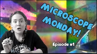 MICROSCOPE MONDAY #1