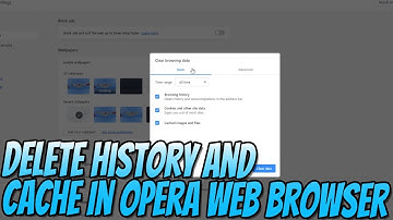 How To Delete History and Cache In Opera Web Browser Tutorial