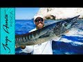 Mi primer WAHOO!!! - Pesca al troleo en el Mar de Cortez