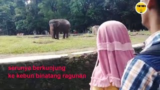 ragunan zoo