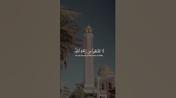 سورة الزمر للشيخ ياسر الدوسري