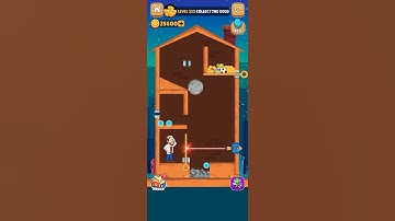 Home pin game Level 233