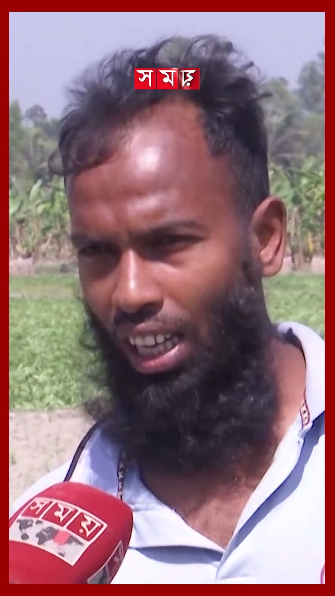 বাজারে ধস-হিমাগারে বাড়তি ভাড়া, উভয় সংকটে আলুচাষি #potatoprice #rangpur #shorts #somoytv
