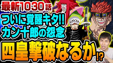 キッドとローの能力が覚醒 あのビッグマムを圧倒 アプーはナンバーズと何を企む 錦えもんとカン十郎の因縁は終わっていない ワンピース 1030話 ジャンプネタバレ注意 考察 Mp3