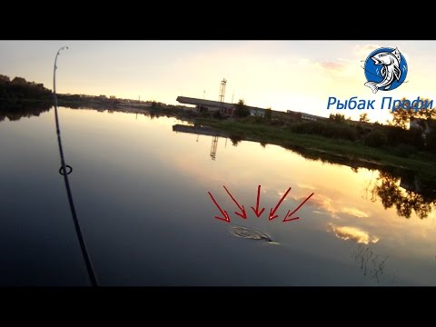 Спиннинг-отчет с рыбалки 14.08.16.....Рыбак Профи
