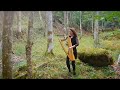 Celtic harp duo passed too soon  nadia birkenstock keltische harfe