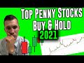 Top Penny Stocks To Buy & Hold in 2021 | 5X Potential