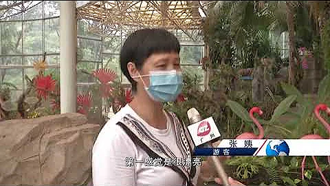 广州：云台花园玻璃温室 化身热带雨林 - 天天要闻