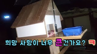 길고양이 12 - 110kg 대형 캣타워 완성