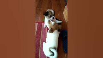 Ngày 07 tháng 08 năm 2021