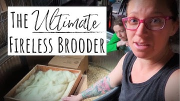 The Ultimate Non-Electric Brooder For Raising Chicks OFF Grid