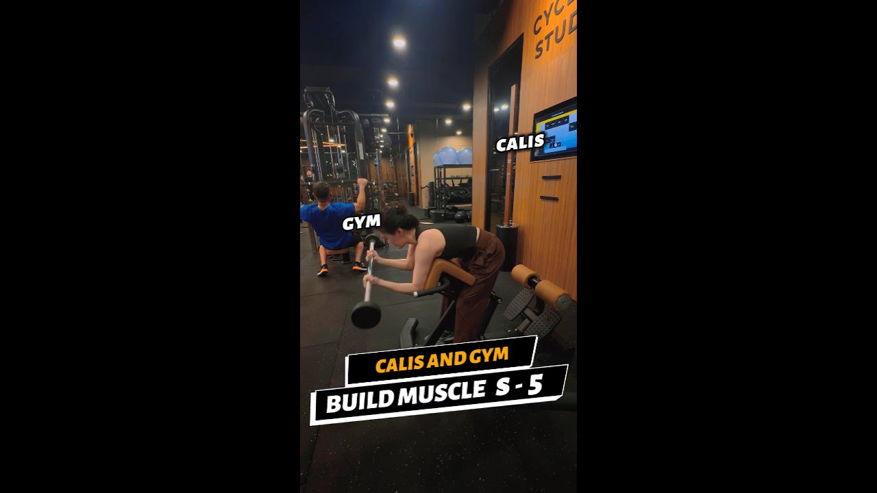 Build Muscle | Forearm, Triceps, Biceps & Chest Workout