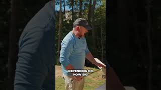 DIY Shed Door Build - Easy Wall Panel Tips