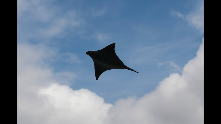 What is the Manta Ray UAP?