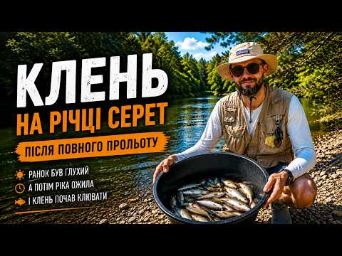 Річка Серет здивувала. Клень почав клювати масово