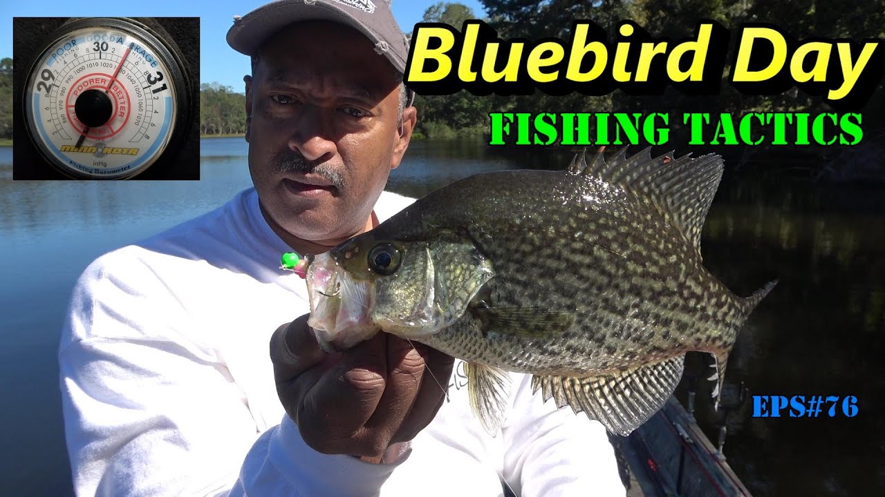 High Pressure Fishing Tactics (Barometric Pressure) Eps 76 YouTube