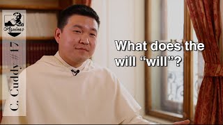 C. Cuddy What Does The Will Will? I-Ii, 8