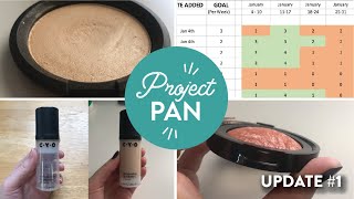 2021 Project Pan | FEBRUARY UPDATE