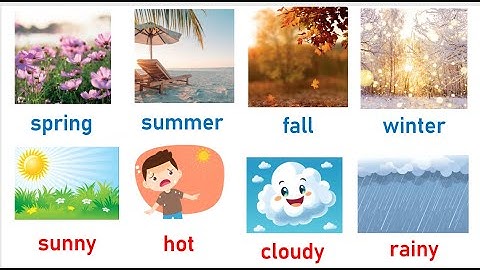 Bé học tiếng Anh chủ đề các mùa trong năm và thời tiết - Seasons and weather vocabulary for Kids