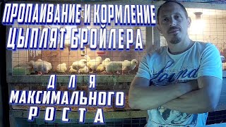 (ч.9)Пропаивание и Кормление Цыплят Бройлера для Максимального Роста.