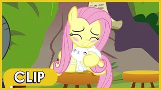 Fluttershy and Angel Sympathize with Each Other - MLP: Friendship Is Magic [Season 9]