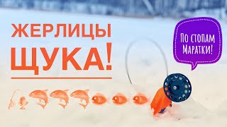 Жерлицы.Щуки.По стопам Маратки!