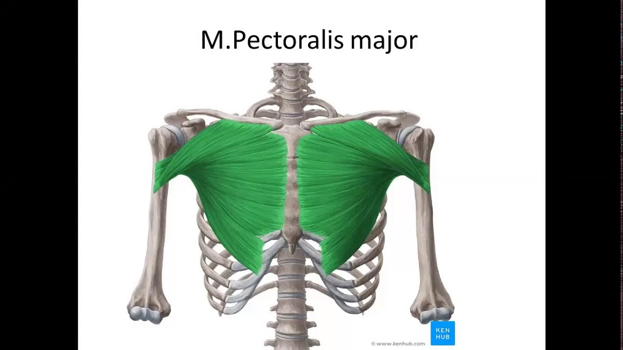 Yangiliklar boshlovchisi bilan jinsiy aloqani tomosha qiling Mushukdan olingan spermaning erotik fotosuratlari